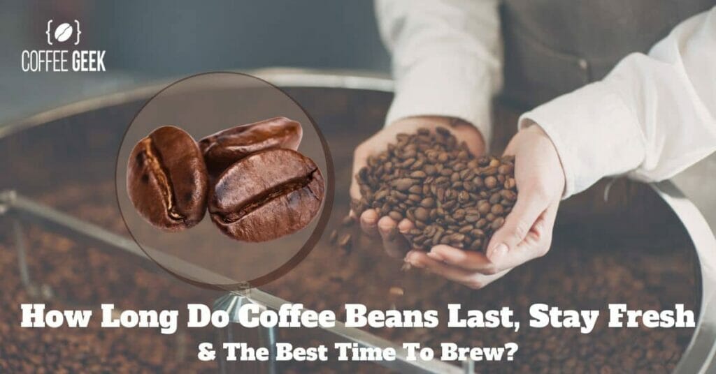How Long Do Coffee Beans Last, Stay Fresh, And The Best Time To Brew
