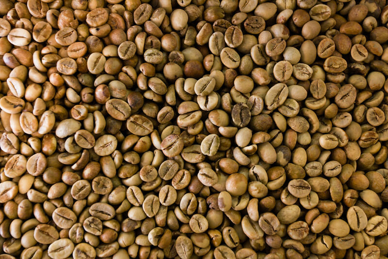 Kopi Luwak coffee beans