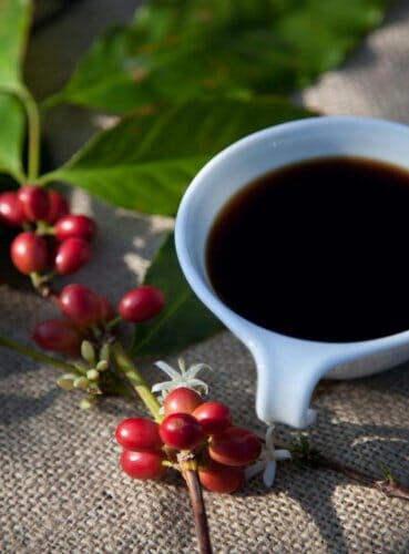 Farm-fresh: 100% Kona Coffee - Medium Roast - Arabica Whole Beans 