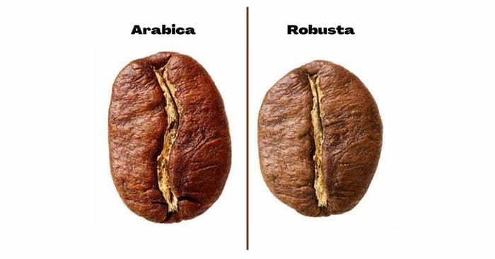 Arabica and Robusta 