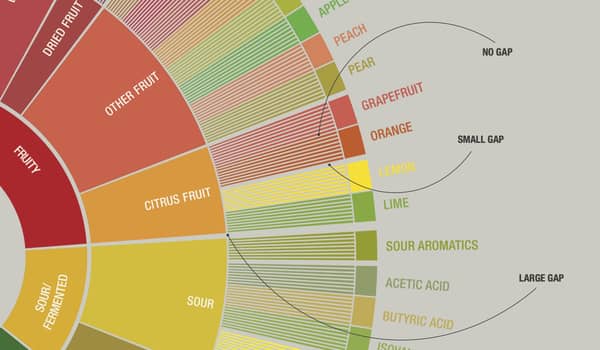 Check the gaps between the flavor attributes on the Flavor Wheel