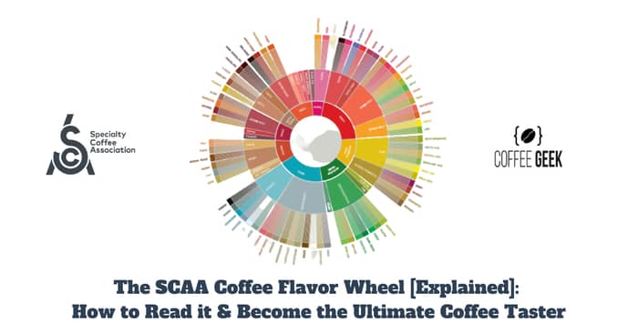 The SCAA Coffee Flavor Wheel