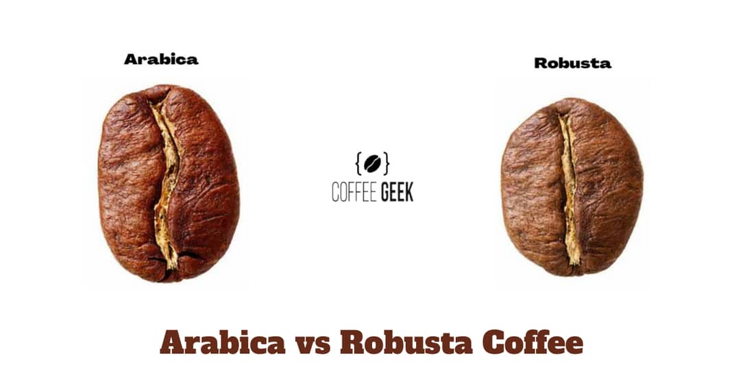 Arabica vs Robusta Coffee: What's The Difference [Explained]