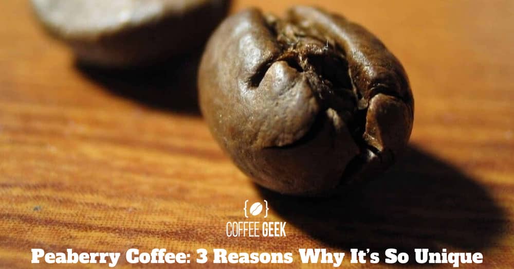 Peaberry Coffee: 3 reasons why it's so Unique