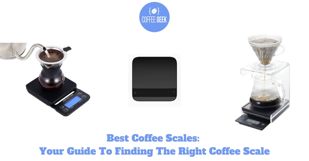 Best Coffee Scale Face-Off: Does Price Even Matter? TimeMore vs Acaia vs  Apexstone 