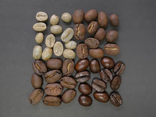 Unroasted (top left), light roast (top right), medium roast (bottom left), and dark roast (bottom right) coffee beans side-by-side for comparison