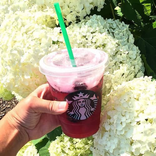 Very Berry Hibiscus Starbucks Refreshers 
