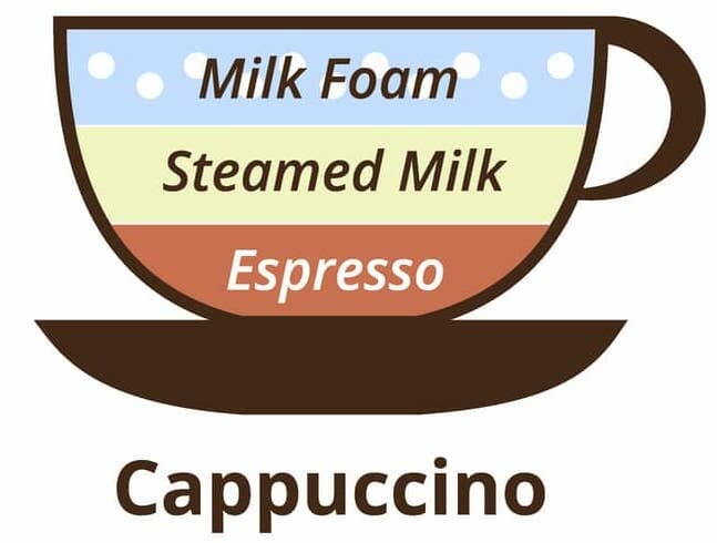 A cappuccino has a 1:2 ratio of espresso to milk, but more specifically, a 1:1:1 ratio of espresso to steamed milk to foam. 