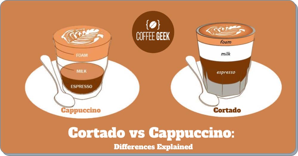 Cortado vs Cappuccino: Differences Explained