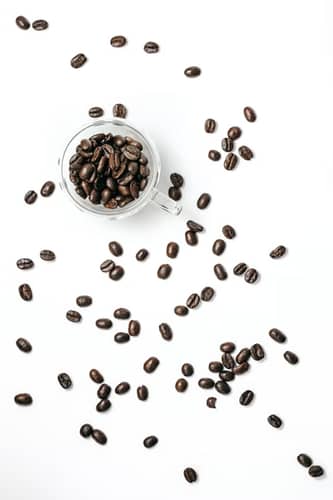 Will Oily Coffee Beans Clog Grinder: Essential Facts and Tips