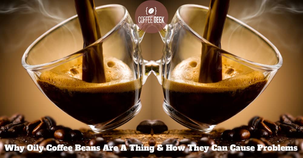 Why Oily Coffee Beans Are A Thing & How They Can Cause Problems