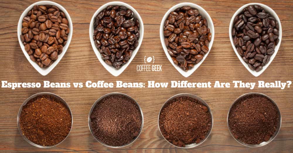 Espresso Beans vs Coffee Beans: How Different Are They Really?