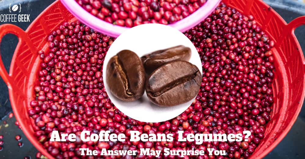Are Coffee Beans Legumes? The Answer May Surprise You
