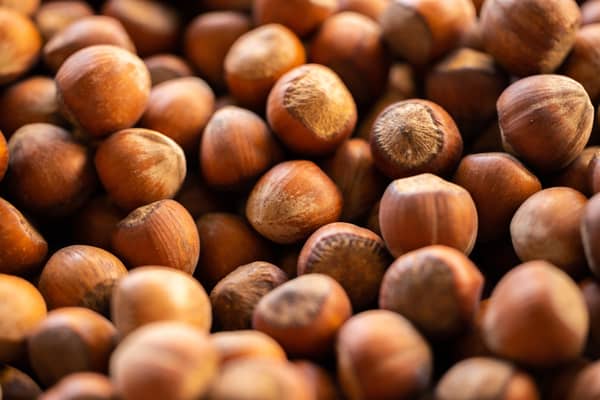 Closeup shot of hazelnuts in their shell