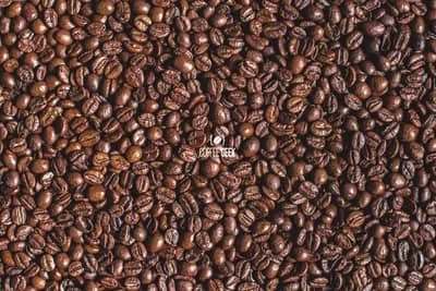 Are coffee beans legumes?: A close-up of roasted coffee beans
