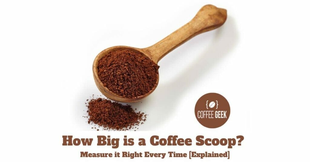How Big is a Coffee Scoop