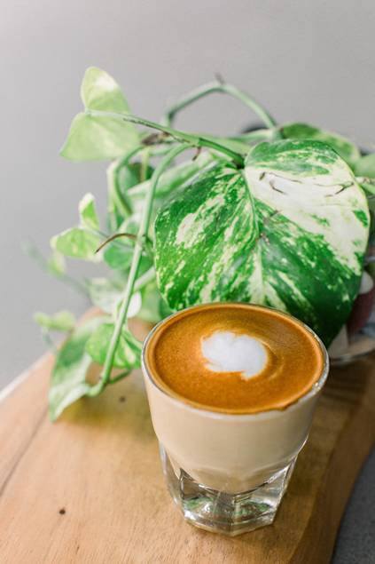 A cortado coffee is made with 1:1 coffee and milk. 