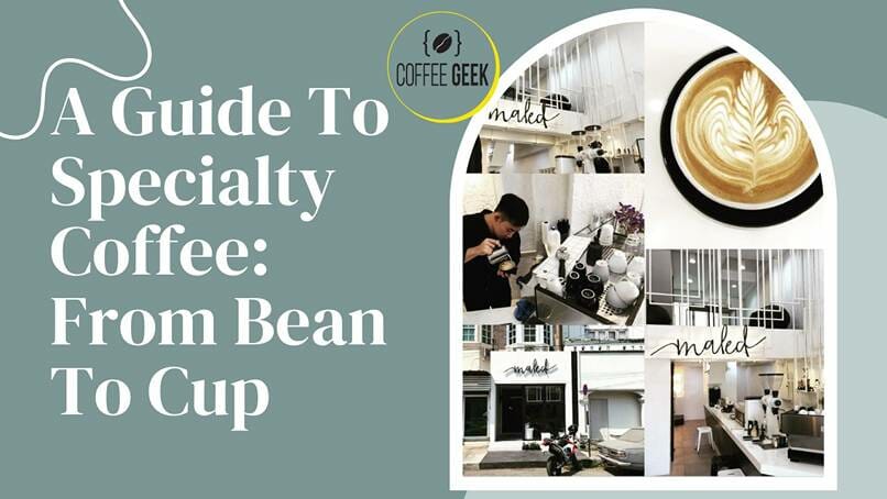 A Guide To Specialty Coffee From Bean To Cup