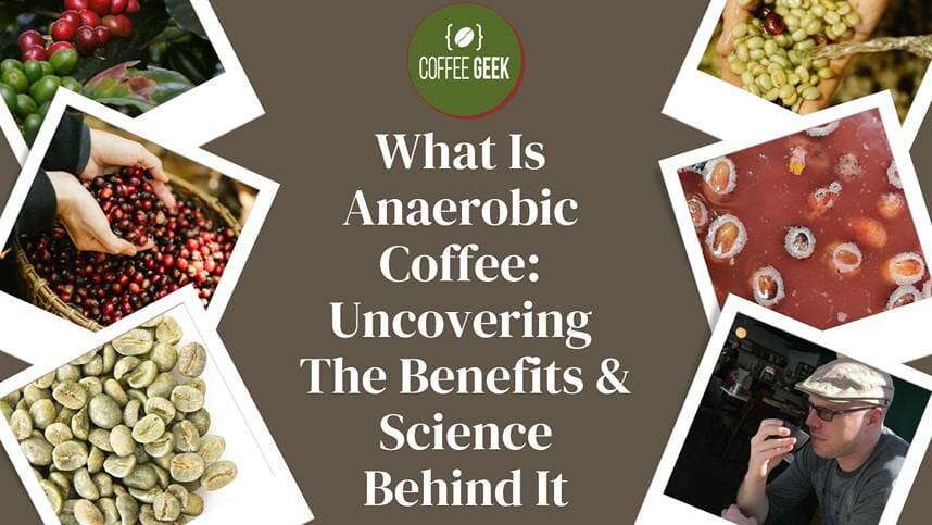 What Is Anaerobic Coffee Uncovering The Benefits And Science Behind It