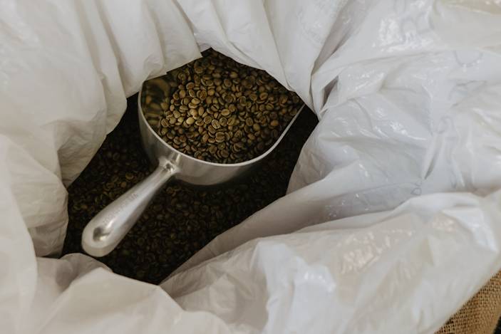 Green coffee beans in stainless steel scoop
