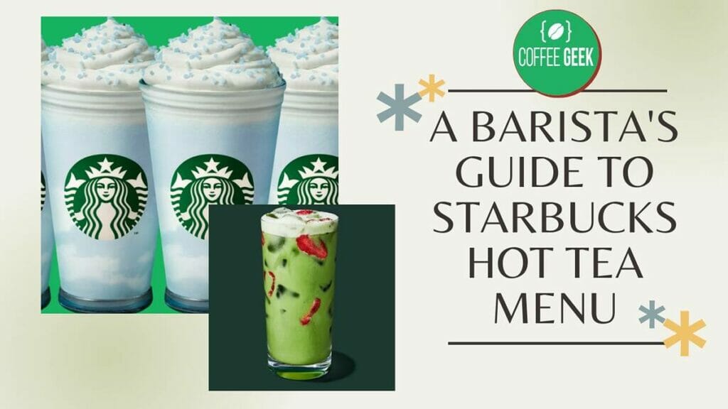 Best Hot Tea at Starbucks