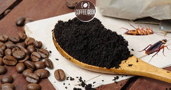 burnt coffee grounds can actually repel bugs and roaches 