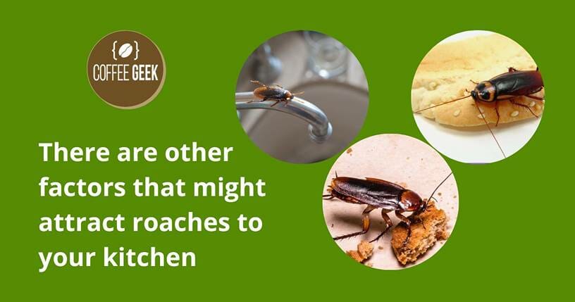 Other Common Kitchen Attraction Factors