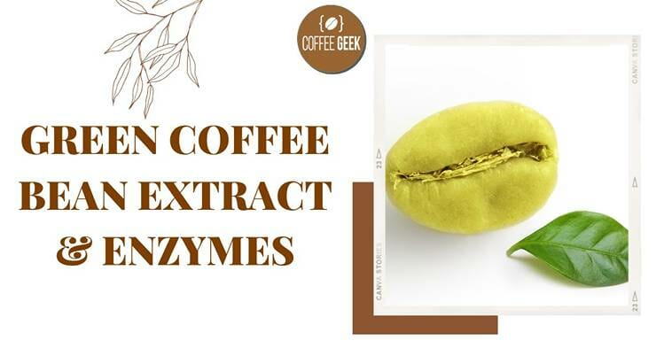 Green coffee bean extract and enzymes.