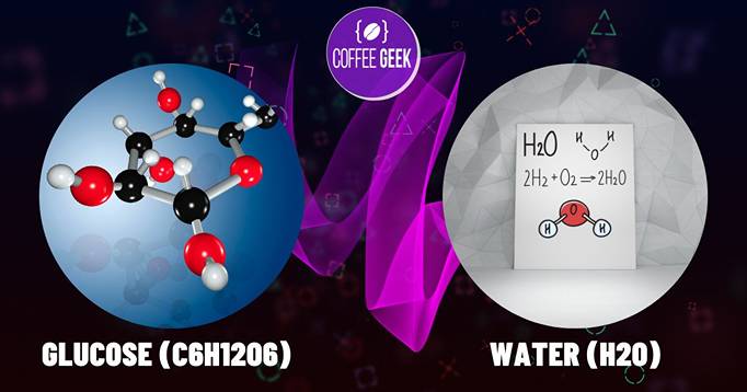 Glucose (C6H12O6) &water (H2O)