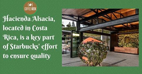 Hacienda Alsacia, located in Costa Rica, is a key part of Starbucks' effort to ensure quality