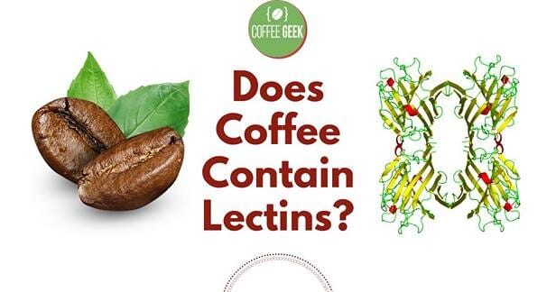 Does Coffee Contain Lectins?