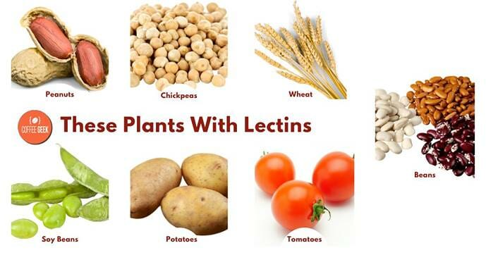 These plants with lectins
