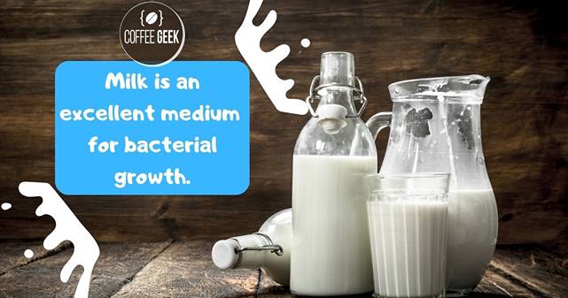 Milk-is-an-excellent-medium-for-bacterial-growth