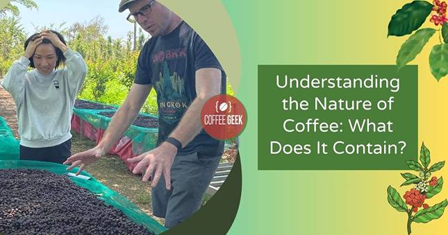Understanding the nature of coffee and what does it contain?