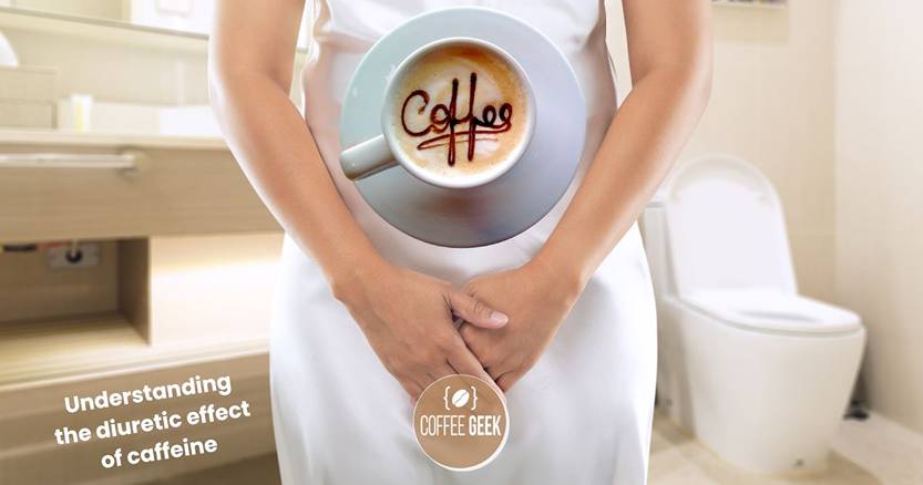 Understanding the diuretic effect of caffeine