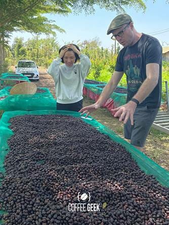 A man and a woman looking at coffee beans in a field.