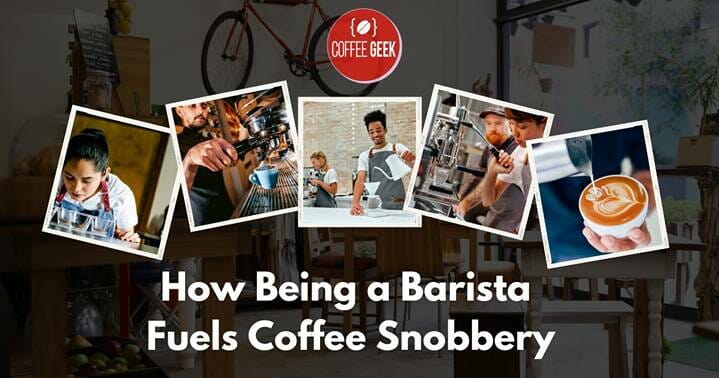 How being a barista fuels coffee snobbery.