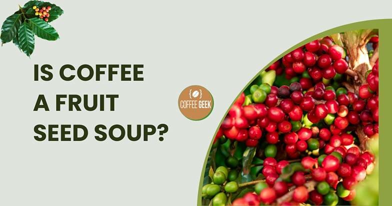 Is coffee a fruit seed soup?.