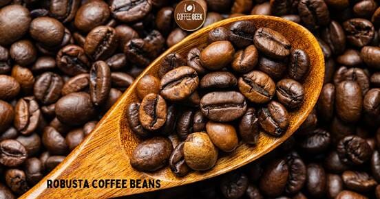 robusta-coffee-beans