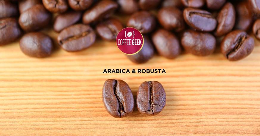 There are two main types of coffee beans: Arabica and Robusta.