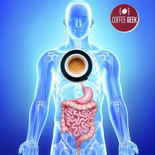 Coffee's Effect on Digestion