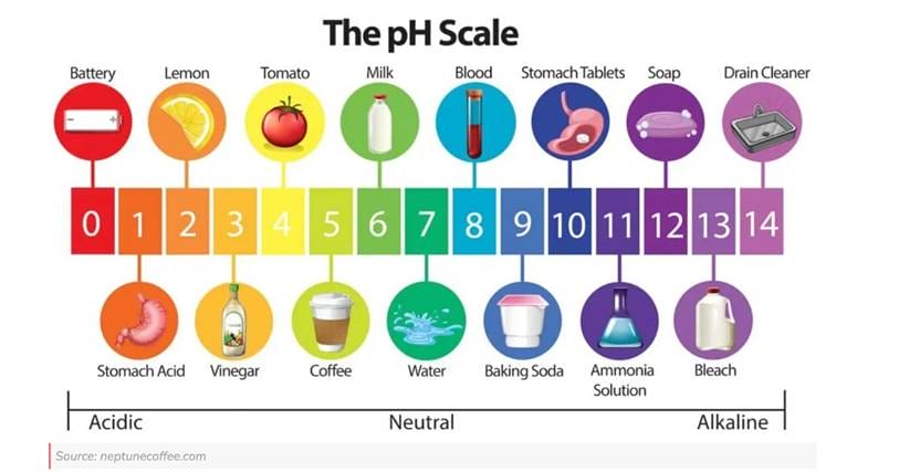 Understanding Coffee's PH Level