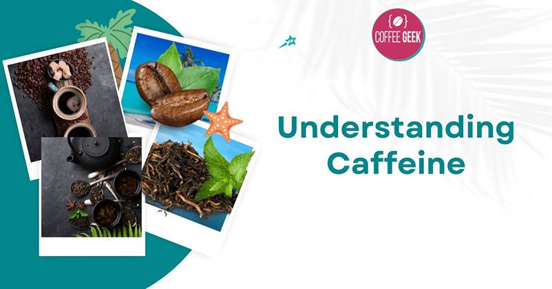 Understanding caffein.