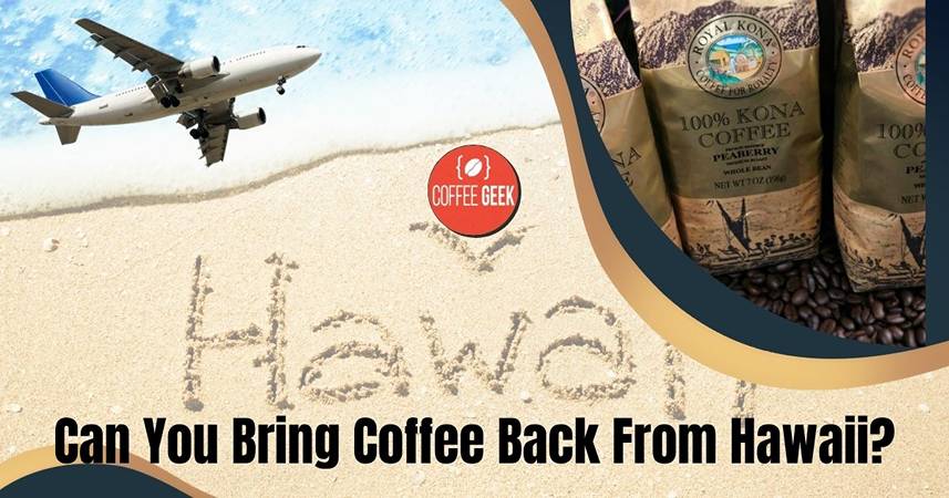 Can you bring coffee back from hawaii