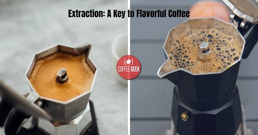 Extraction-A-Key-to-Flavorful-Coffee