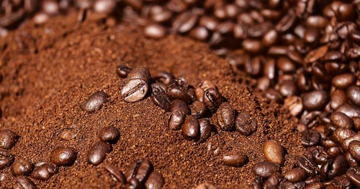 How-Does-Coffee-Ground-Impact-Pests