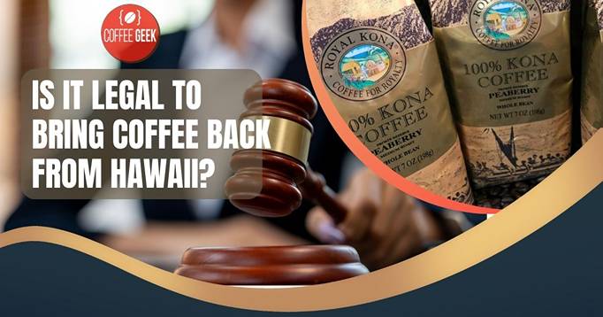 Is it legal to bring coffee back from hawaii?.