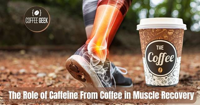 The role of caffeine in muscle recovery.