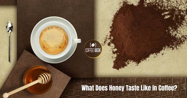 What does honey taste like in coffee?.