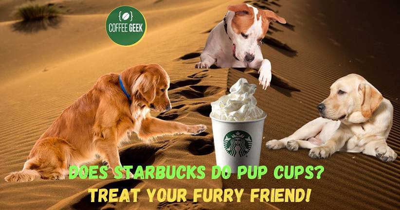 Does Starbucks Do Pup Cups
